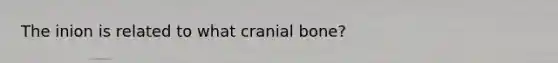 The inion is related to what cranial bone?