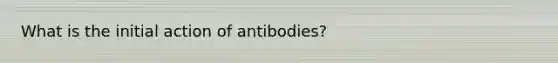 What is the initial action of antibodies?