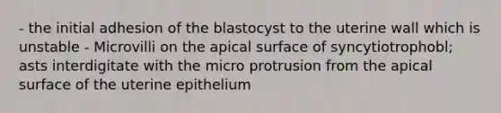 - the initial adhesion of the blastocyst to the uterine wall which is unstable - Microvilli on the apical surface of syncytiotrophobl; asts interdigitate with the micro protrusion from the apical surface of the uterine epithelium