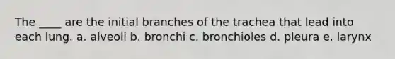 The ____ are the initial branches of the trachea that lead into each lung. a. alveoli b. bronchi c. bronchioles d. pleura e. larynx