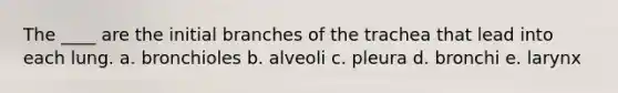 The ____ are the initial branches of the trachea that lead into each lung. a. bronchioles b. alveoli c. pleura d. bronchi e. larynx