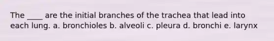 The ____ are the initial branches of the trachea that lead into each lung.​ a. ​bronchioles b. alveoli​ c. ​pleura d. ​bronchi e. larynx