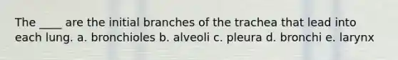 The ____ are the initial branches of the trachea that lead into each lung.​ a. ​bronchioles b. alveoli​ c. ​pleura d. ​bronchi e. ​larynx