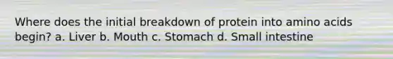 Where does the initial breakdown of protein into amino acids begin? a. Liver b. Mouth c. Stomach d. Small intestine