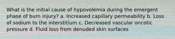 What is the initial cause of hypovolemia during the emergent phase of burn injury? a. Increased capillary permeability b. Loss of sodium to the interstitium c. Decreased vascular oncotic pressure d. Fluid loss from denuded skin surfaces