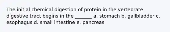 The initial chemical digestion of protein in the vertebrate digestive tract begins in the _______ a. stomach b. gallbladder c. esophagus d. small intestine e. pancreas