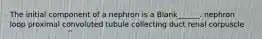 The initial component of a nephron is a Blank______. nephron loop proximal convoluted tubule collecting duct renal corpuscle