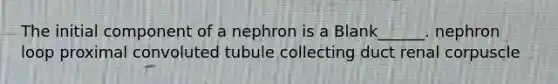 The initial component of a nephron is a Blank______. nephron loop proximal convoluted tubule collecting duct renal corpuscle