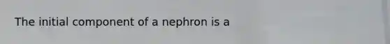 The initial component of a nephron is a