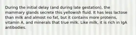 During the initial delay (and during late gestation), the mammary glands secrete this yellowish fluid. It has less lactose than milk and almost no fat, but it contains more proteins, vitamin A, and minerals that true milk. Like milk, it is rich in IgA antibodies.