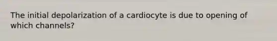 The initial depolarization of a cardiocyte is due to opening of which channels?