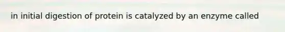 in initial digestion of protein is catalyzed by an enzyme called