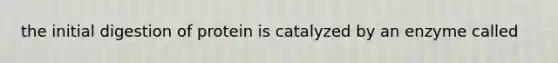 the initial digestion of protein is catalyzed by an enzyme called