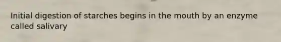 Initial digestion of starches begins in the mouth by an enzyme called salivary