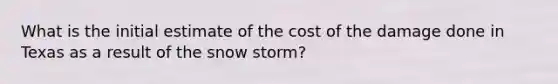 What is the initial estimate of the cost of the damage done in Texas as a result of the snow storm?