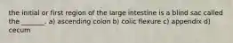 the initial or first region of the large intestine is a blind sac called the _______. a) ascending colon b) colic flexure c) appendix d) cecum