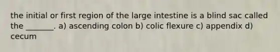 the initial or first region of the large intestine is a blind sac called the _______. a) ascending colon b) colic flexure c) appendix d) cecum