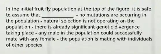 In the initial fruit fly population at the top of the figure, it is safe to assume that ______________. - no mutations are occurring in the population - natural selection is not operating on the population - there is already significant genetic divergence taking place - any male in the population could successfully mate with any female - the population is mating with individuals of other species