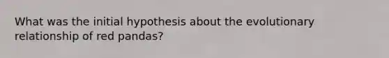 What was the initial hypothesis about the evolutionary relationship of red pandas?