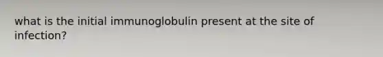 what is the initial immunoglobulin present at the site of infection?