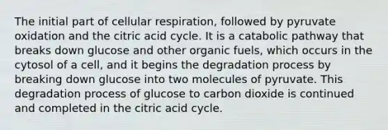 The initial part of <a href='https://www.questionai.com/knowledge/k1IqNYBAJw-cellular-respiration' class='anchor-knowledge'>cellular respiration</a>, followed by pyruvate oxidation and the citric acid cycle. It is a catabolic pathway that breaks down glucose and other organic fuels, which occurs in the cytosol of a cell, and it begins the degradation process by breaking down glucose into two molecules of pyruvate. This degradation process of glucose to carbon dioxide is continued and completed in the citric acid cycle.