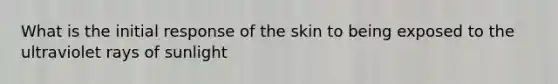 What is the initial response of the skin to being exposed to the ultraviolet rays of sunlight