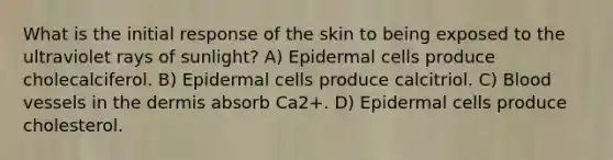 What is the initial response of the skin to being exposed to the ultraviolet rays of sunlight? A) Epidermal cells produce cholecalciferol. B) Epidermal cells produce calcitriol. C) Blood vessels in the dermis absorb Ca2+. D) Epidermal cells produce cholesterol.