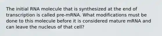 The initial RNA molecule that is synthesized at the end of transcription is called pre-mRNA. What modifications must be done to this molecule before it is considered mature mRNA and can leave the nucleus of that cell?