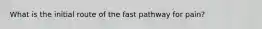 What is the initial route of the fast pathway for pain?