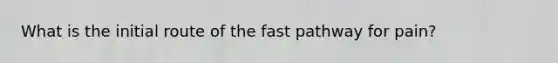 What is the initial route of the fast pathway for pain?