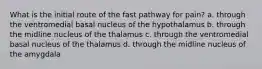 What is the initial route of the fast pathway for pain? a. through the ventromedial basal nucleus of the hypothalamus b. through the midline nucleus of the thalamus c. through the ventromedial basal nucleus of the thalamus d. through the midline nucleus of the amygdala