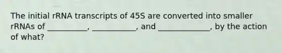 The initial rRNA transcripts of 45S are converted into smaller rRNAs of __________, ___________, and _____________, by the action of what?