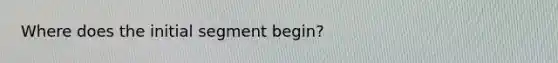 Where does the initial segment begin?