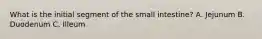 What is the initial segment of the small intestine? A. Jejunum B. Duodenum C. Illeum