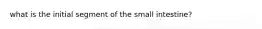 what is the initial segment of the small intestine?