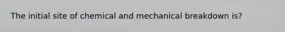 The initial site of chemical and mechanical breakdown is?