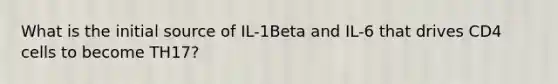 What is the initial source of IL-1Beta and IL-6 that drives CD4 cells to become TH17?