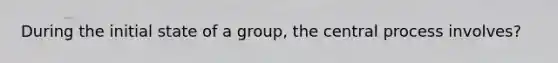 During the initial state of a group, the central process involves?