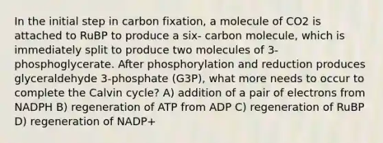 In the initial step in carbon fixation, a molecule of CO2 is attached to RuBP to produce a six- carbon molecule, which is immediately split to produce two molecules of 3-phosphoglycerate. After phosphorylation and reduction produces glyceraldehyde 3-phosphate (G3P), what more needs to occur to complete the Calvin cycle? A) addition of a pair of electrons from NADPH B) regeneration of ATP from ADP C) regeneration of RuBP D) regeneration of NADP+