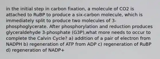 in the initial step in carbon fixation, a molecule of CO2 is attached to RuBP to produce a six-carbon molecule, which is immediately split to produce two molecules of 3-phosphoglycerate. After phosphorylation and reduction produces glyceraldehyde 3-phosphate (G3P),what more needs to occur to complete the Calvin Cycle? a) addition of a pair of electron from NADPH b) regeneration of ATP from ADP c) regeneration of RuBP d) regeneration of NADP+