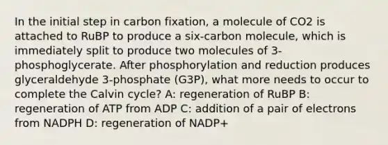 In the initial step in carbon fixation, a molecule of CO2 is attached to RuBP to produce a six-carbon molecule, which is immediately split to produce two molecules of 3-phosphoglycerate. After phosphorylation and reduction produces glyceraldehyde 3-phosphate (G3P), what more needs to occur to complete the Calvin cycle? A: regeneration of RuBP B: regeneration of ATP from ADP C: addition of a pair of electrons from NADPH D: regeneration of NADP+