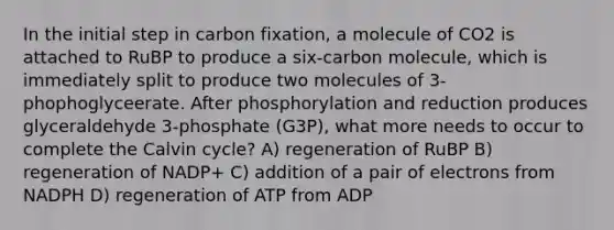 In the initial step in carbon fixation, a molecule of CO2 is attached to RuBP to produce a six-carbon molecule, which is immediately split to produce two molecules of 3-phophoglyceerate. After phosphorylation and reduction produces glyceraldehyde 3-phosphate (G3P), what more needs to occur to complete the Calvin cycle? A) regeneration of RuBP B) regeneration of NADP+ C) addition of a pair of electrons from NADPH D) regeneration of ATP from ADP