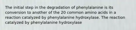 The initial step in the degradation of phenylalanine is its conversion to another of the 20 common <a href='https://www.questionai.com/knowledge/k9gb720LCl-amino-acids' class='anchor-knowledge'>amino acids</a> in a reaction catalyzed by phenylalanine hydroxylase. The reaction catalyzed by phenylalanine hydroxylase