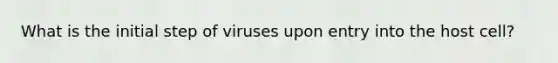 What is the initial step of viruses upon entry into the host cell?