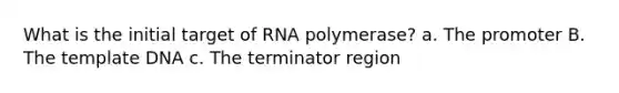 What is the initial target of RNA polymerase? a. The promoter B. The template DNA c. The terminator region