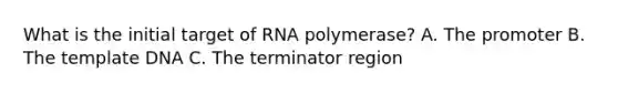 What is the initial target of RNA polymerase? A. The promoter B. The template DNA C. The terminator region