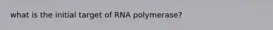 what is the initial target of RNA polymerase?