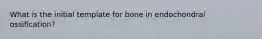 What is the initial template for bone in endochondral ossification?