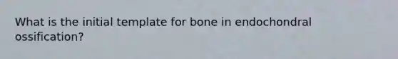 What is the initial template for bone in endochondral ossification?