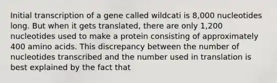 Initial transcription of a gene called wildcati is 8,000 nucleotides long. But when it gets translated, there are only 1,200 nucleotides used to make a protein consisting of approximately 400 amino acids. This discrepancy between the number of nucleotides transcribed and the number used in translation is best explained by the fact that